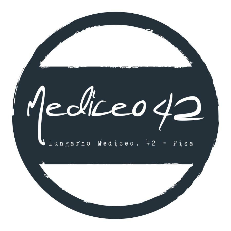 Mediceo 42 - Intero Appartamento 比萨 外观 照片
